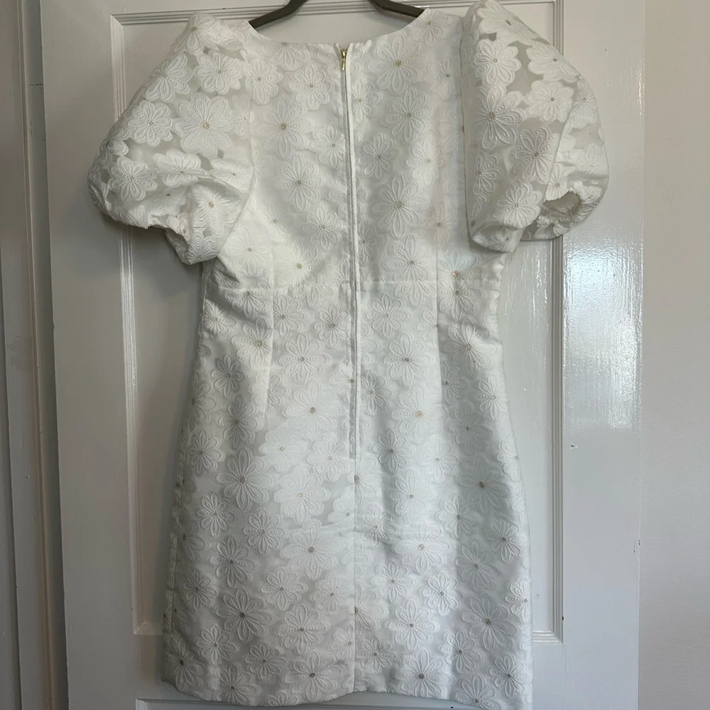 Lilly Pulitzer Citra Organza Dress - Picture 10 of 12